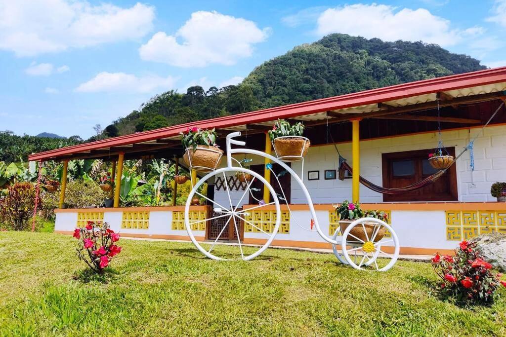 Finca La Antigua. Finca Tradicional Cafetera Villa Jardin Exterior photo